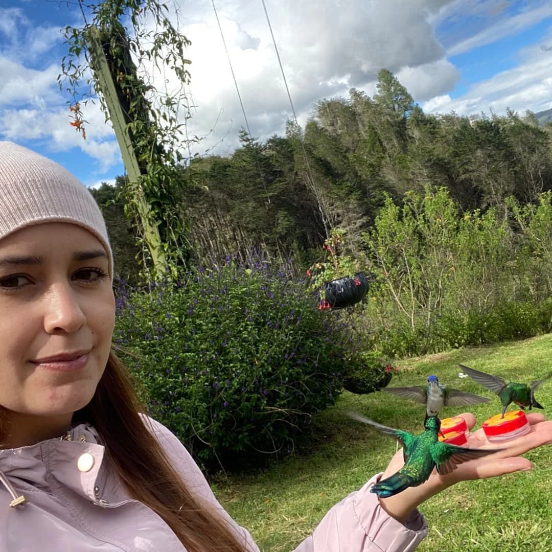 Birdwatching, The House of Hummingbirds