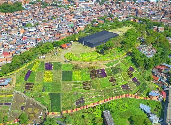 Moravia: arte y transformación