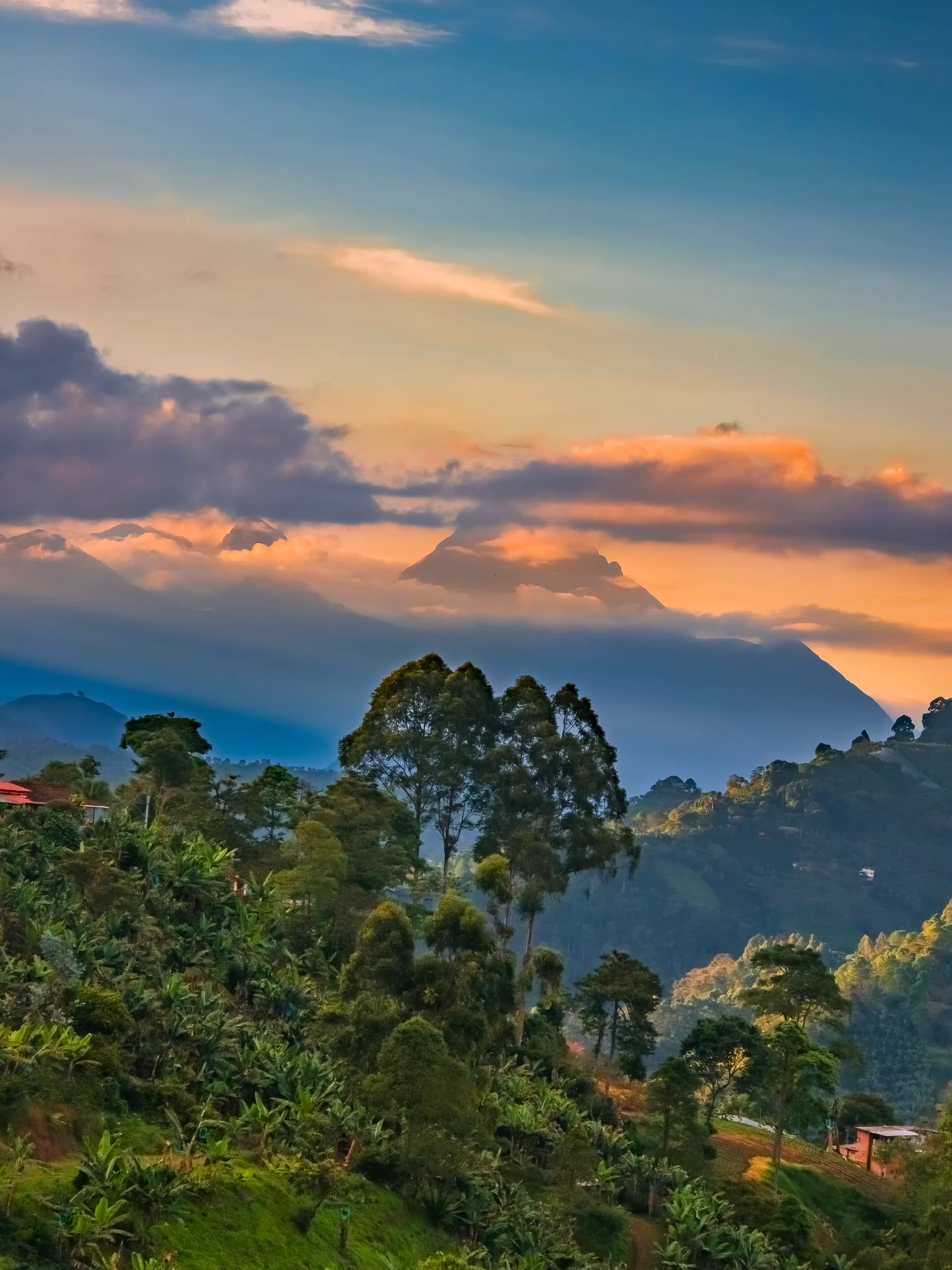 Paisaje montañoso de Rionegro con árboles y nubes al atardecer.