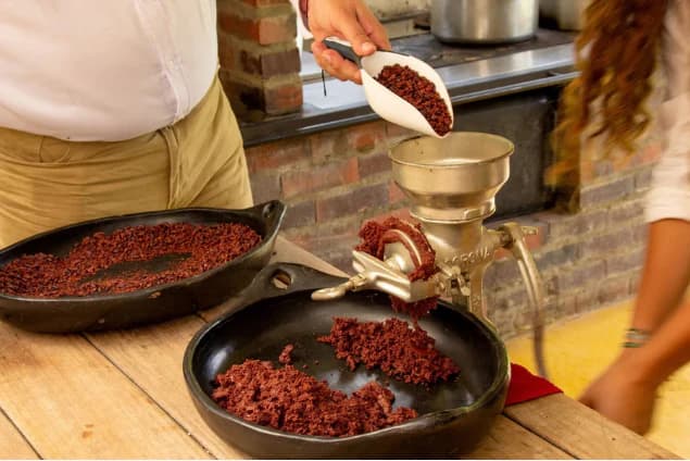 Cocoa experience on a farm in Quindío with cultivation, transformation, and artisanal chocolate tasting