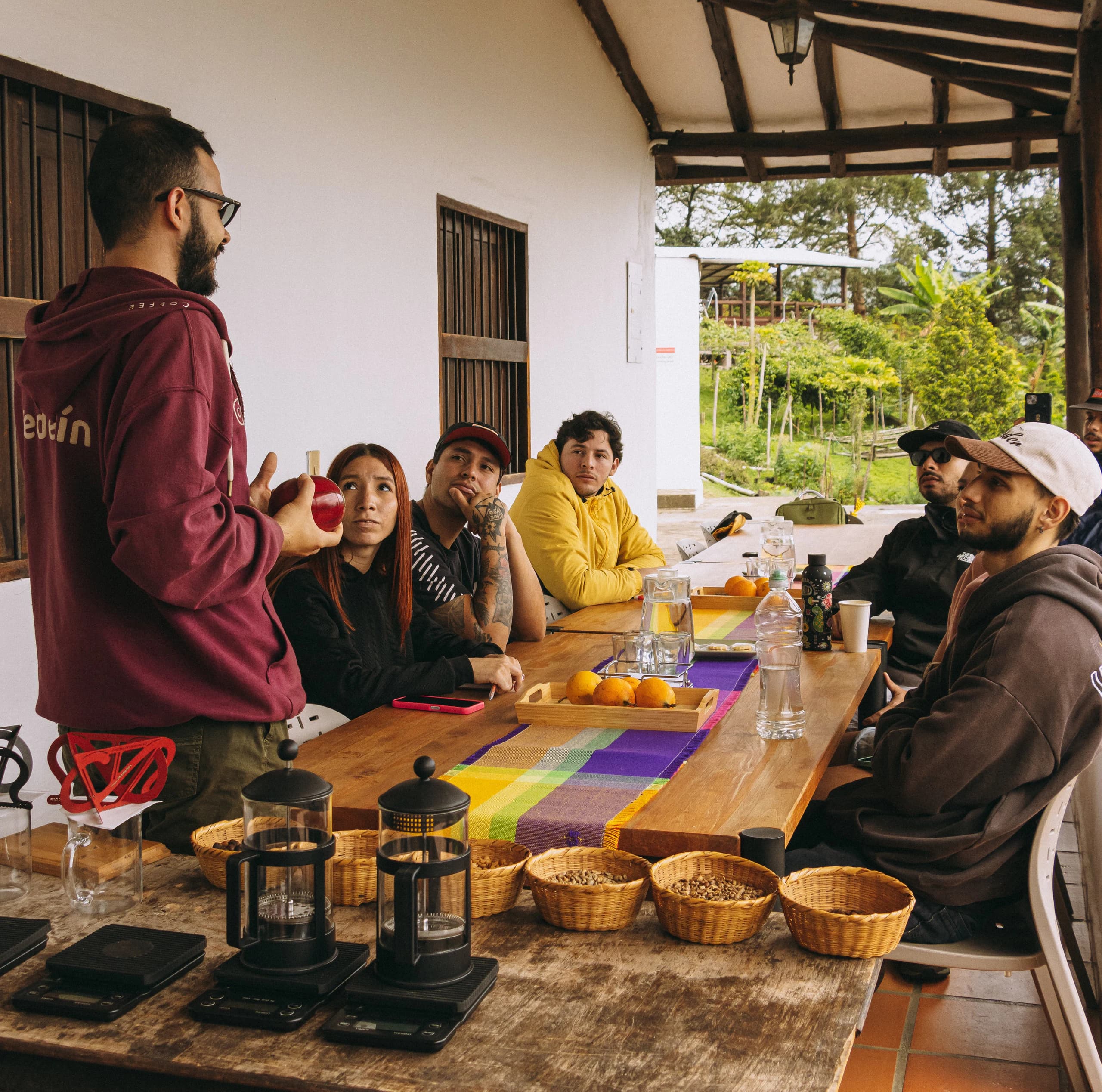 Coffee Tour: the treasure of the Colombian Andes