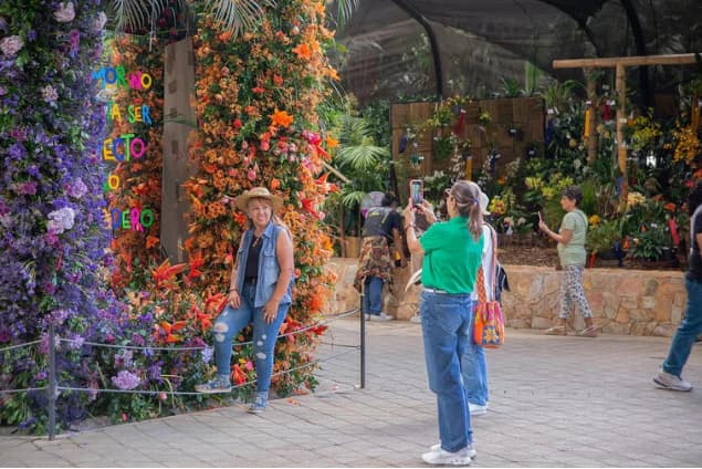 Orchids and flowers at the Botanical Garden of Medellín during the Flower Festival