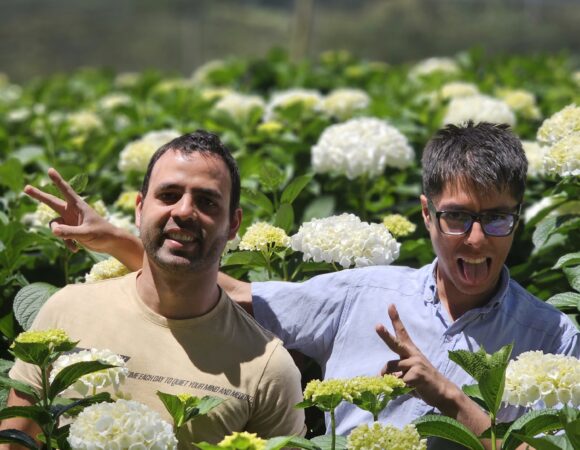 Orquídeas, pájaros y hortensias